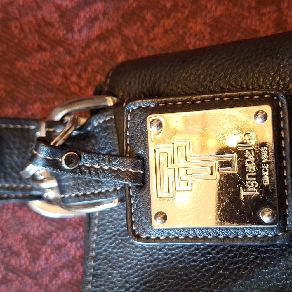Tegnanello hand bag.